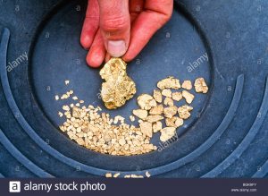 alaska-gold-nuggets-in-a-gold-panning-pan-bgk6fy